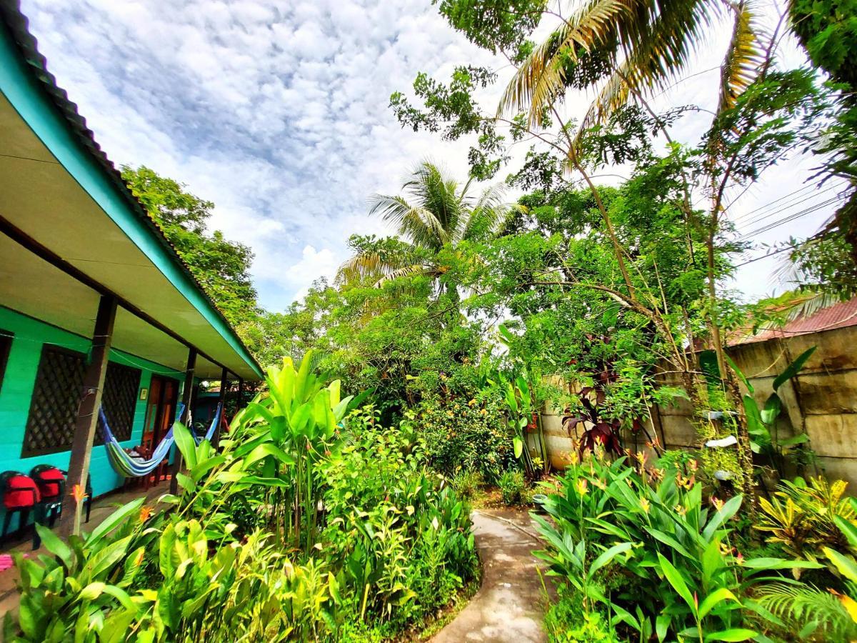 Cabinas Tortuguero Dış mekan fotoğraf