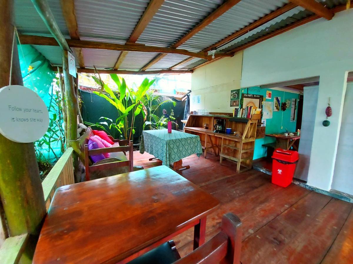 Cabinas Tortuguero Dış mekan fotoğraf