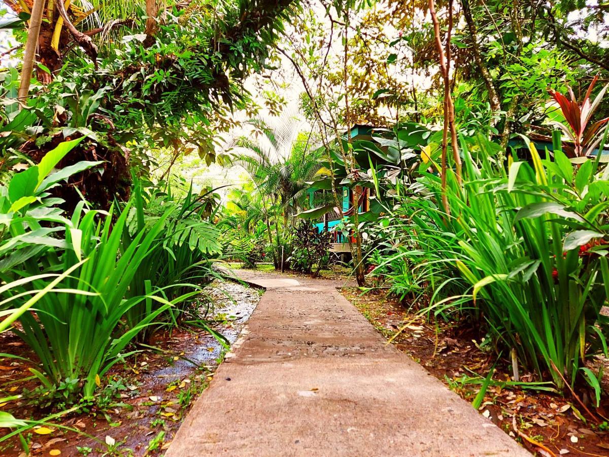 Cabinas Tortuguero Dış mekan fotoğraf