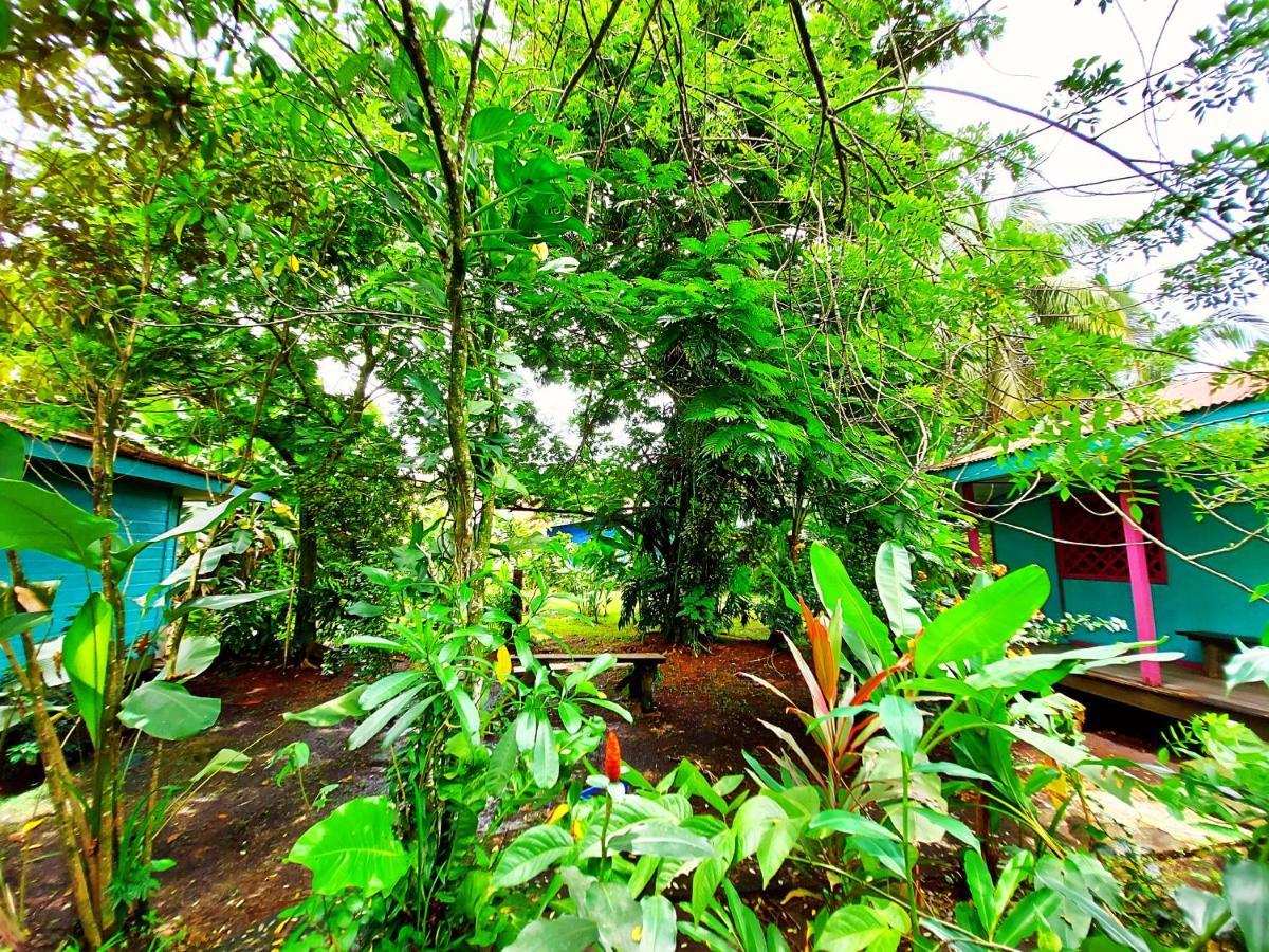 Cabinas Tortuguero Dış mekan fotoğraf