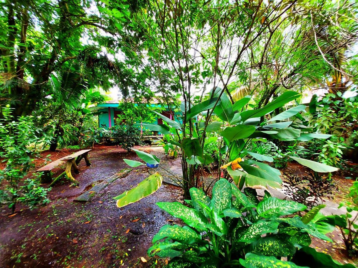 Cabinas Tortuguero Dış mekan fotoğraf