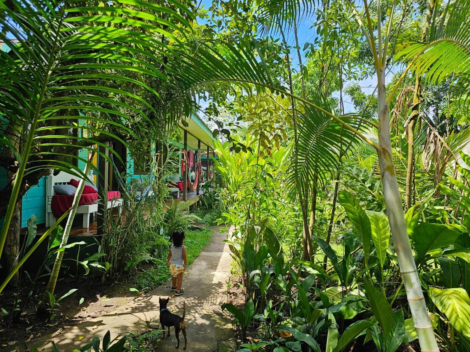 Cabinas Tortuguero Dış mekan fotoğraf