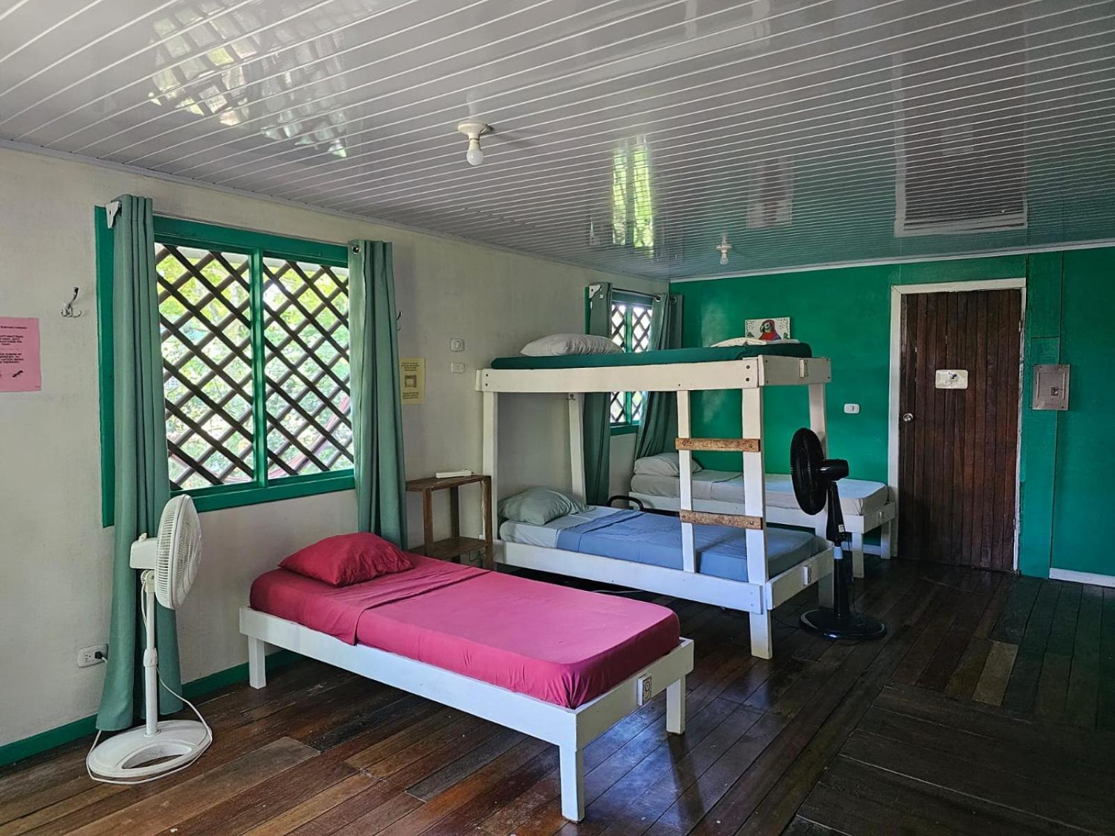 Cabinas Tortuguero Dış mekan fotoğraf
