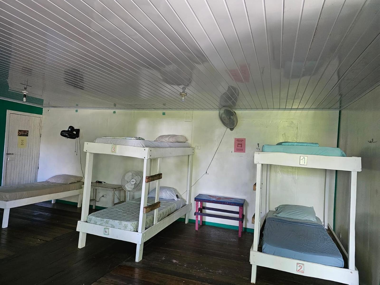 Cabinas Tortuguero Dış mekan fotoğraf