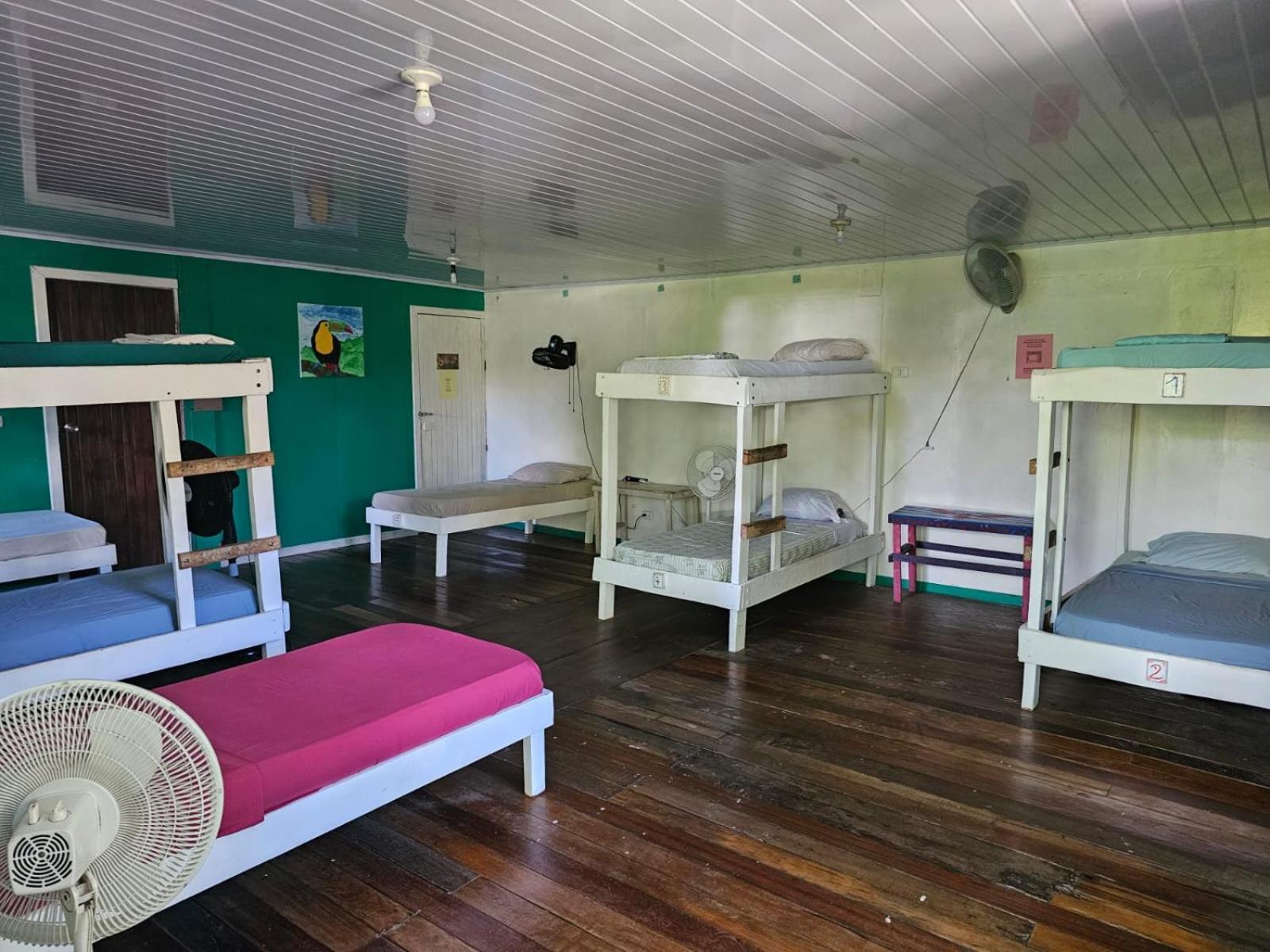 Cabinas Tortuguero Dış mekan fotoğraf