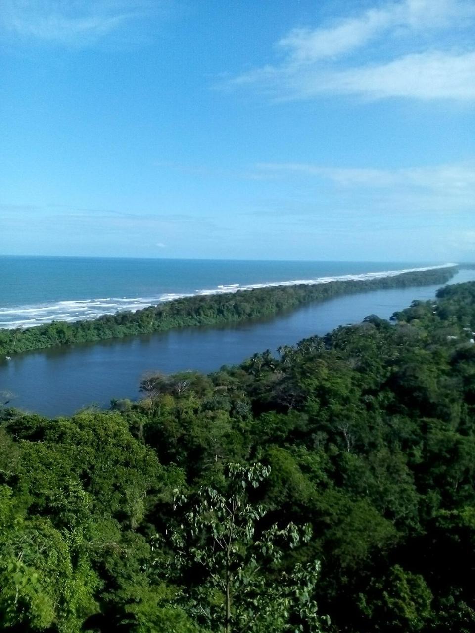 Cabinas Tortuguero Dış mekan fotoğraf